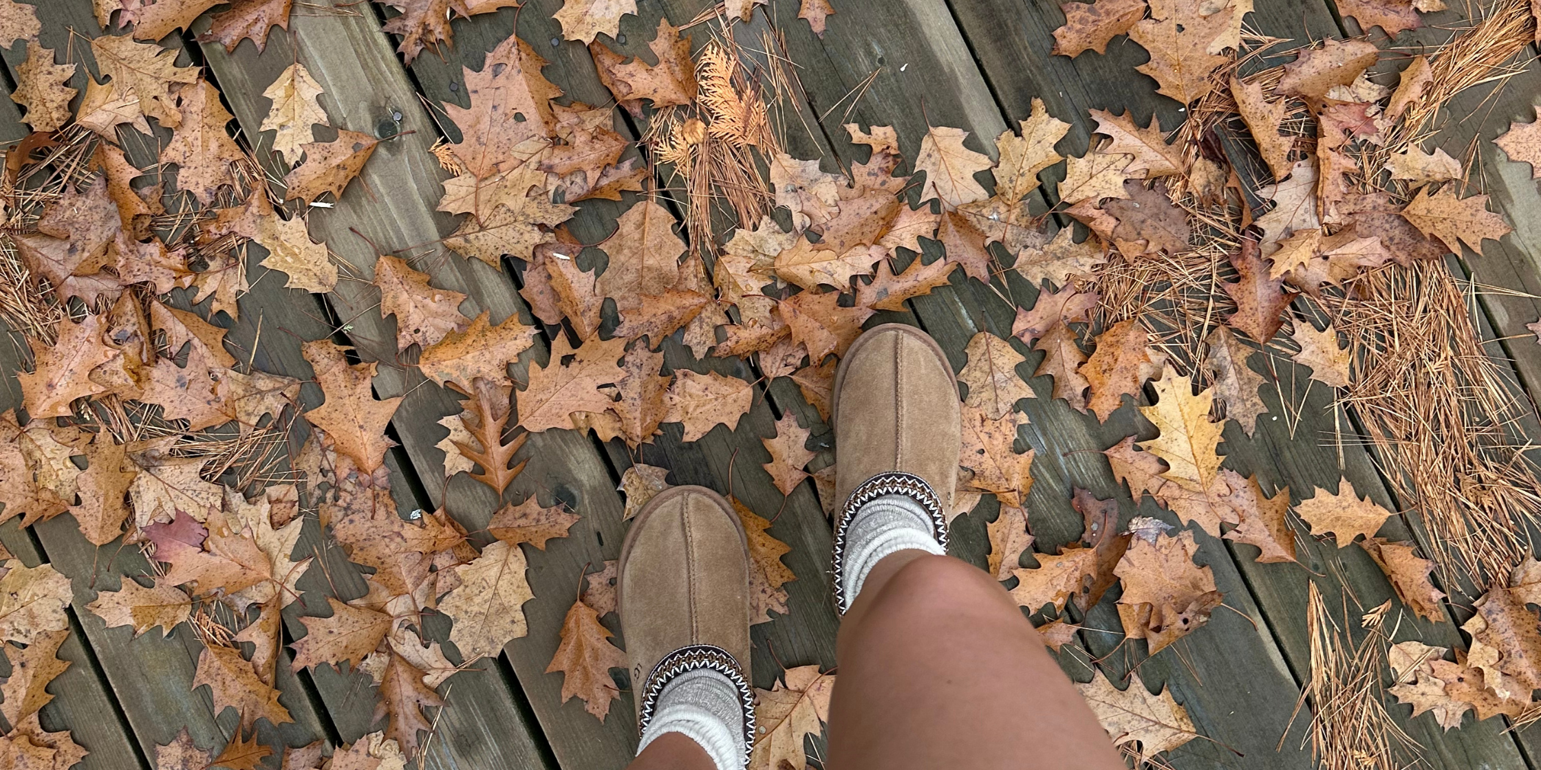 5 Ways to Set Fall Intentions