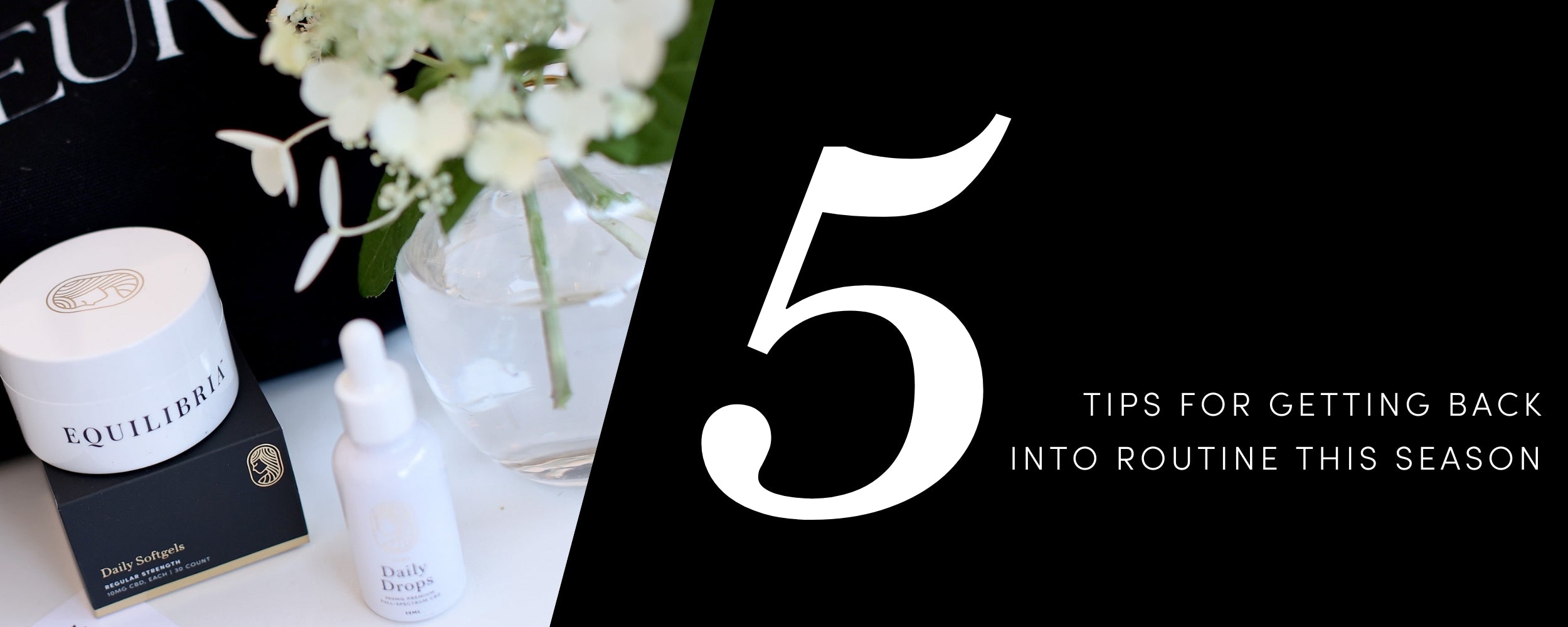 5 Tips For Getting Back To Routine This Season – Equilibria