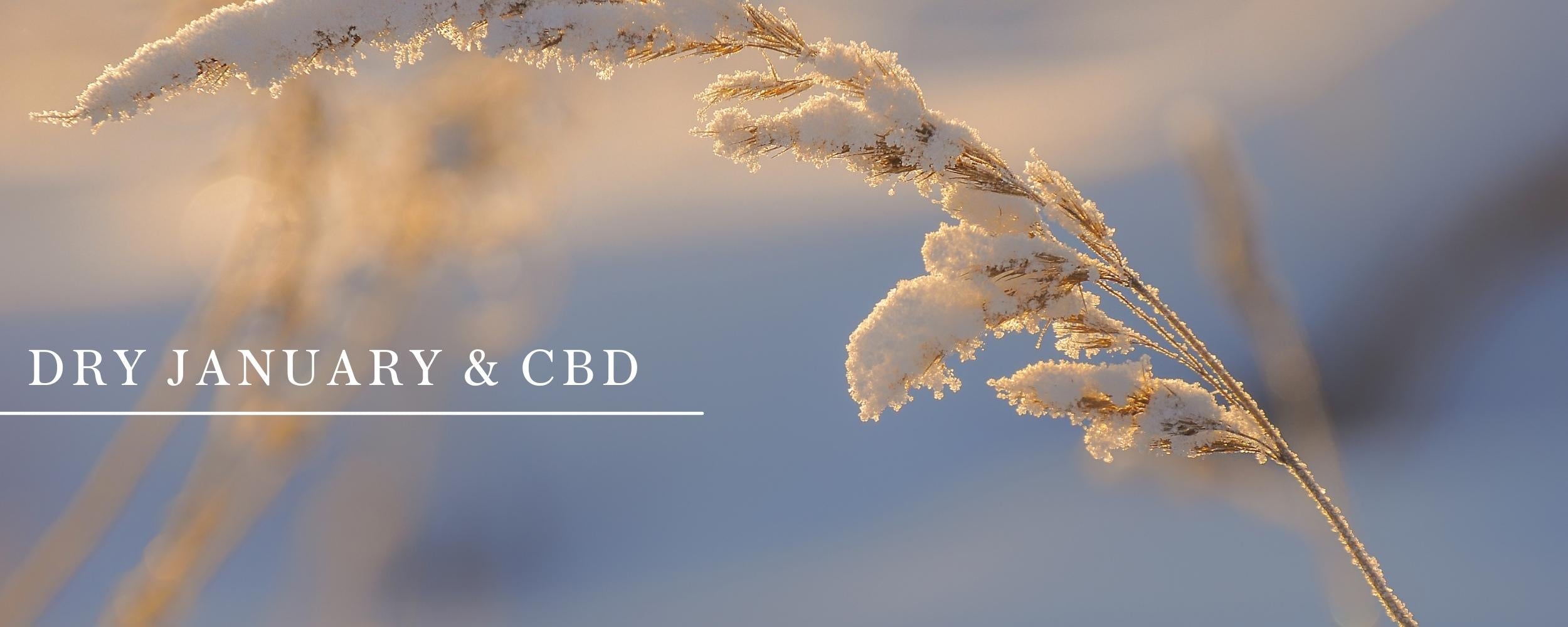 Dry January and Beyond: CBD vs. Alcohol