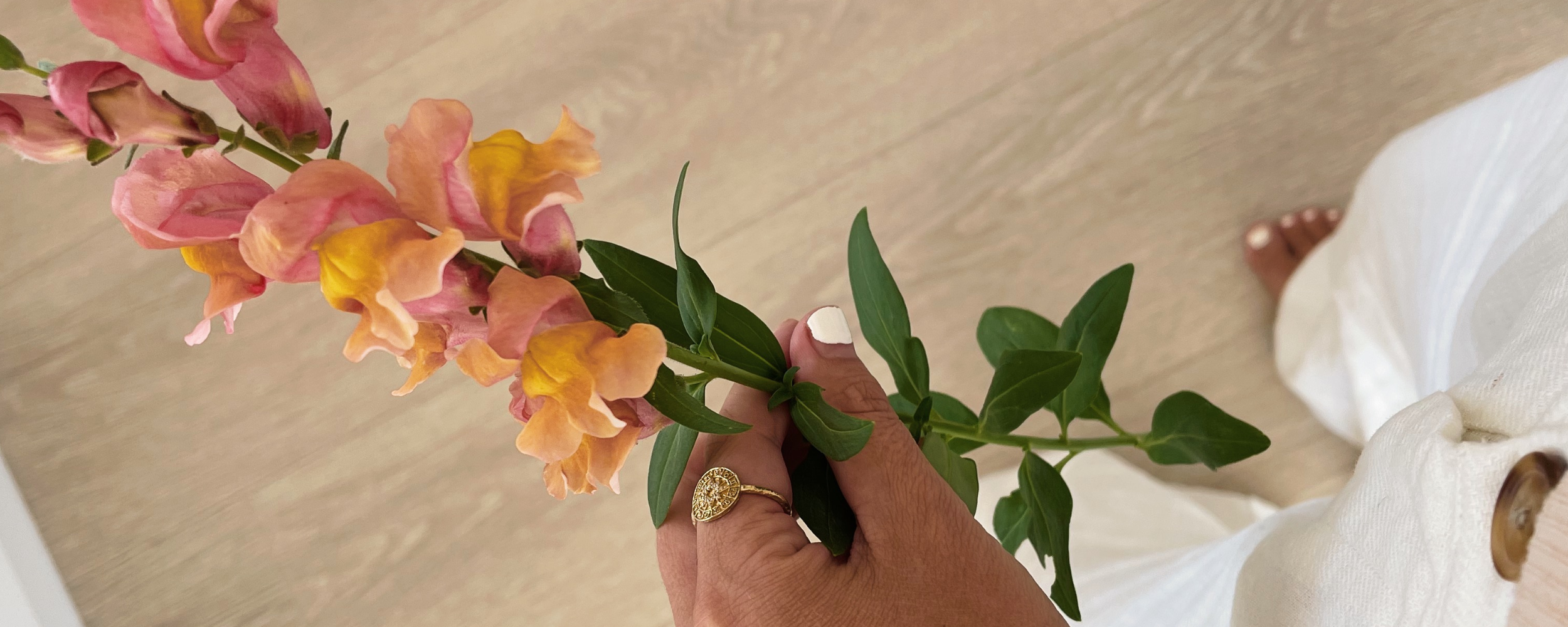 Reclaiming Your Power in Menopause