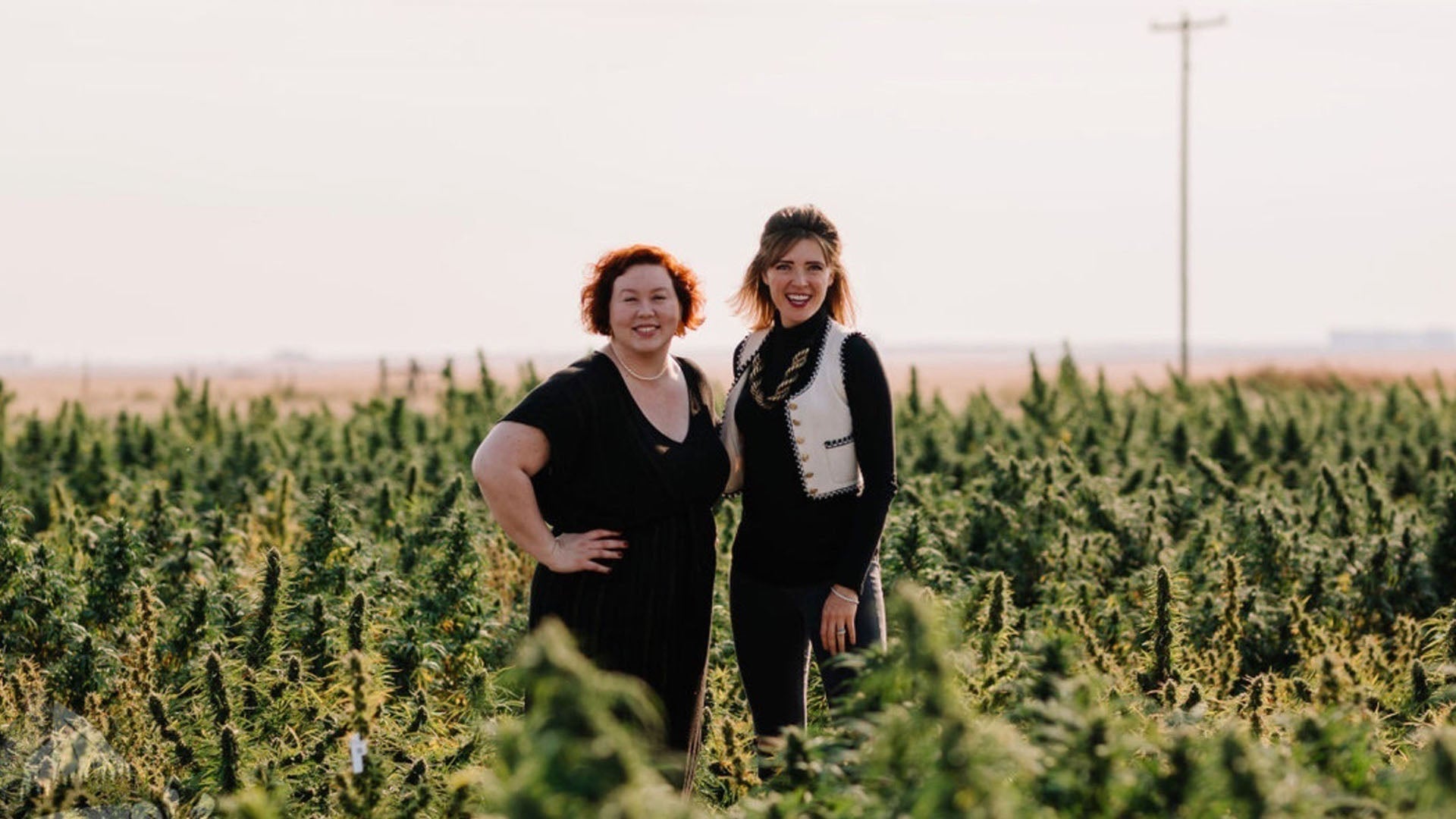 4/20 Reimagined: Why Hemp Advocacy & Safe Access Matter More Than Ever