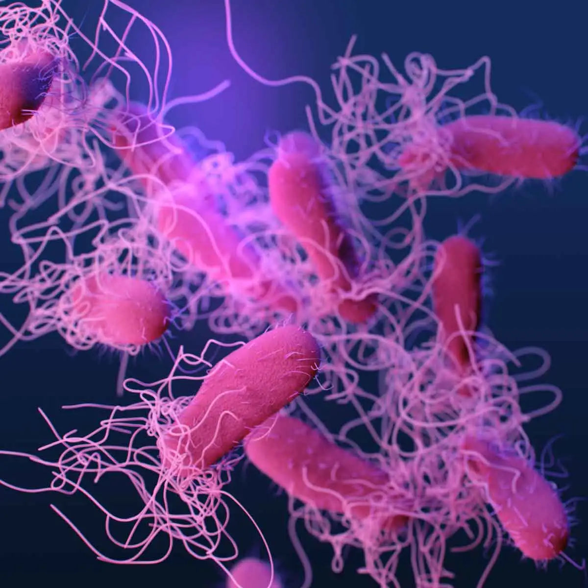 EQ Microbiome Primer