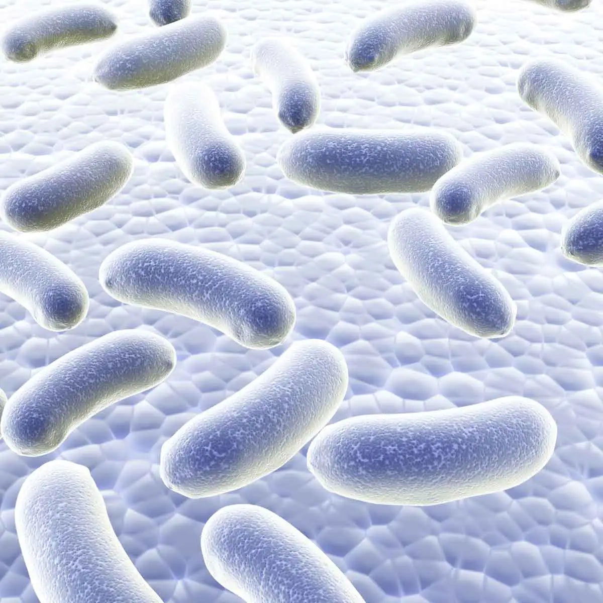 Science 101: Microbiome
