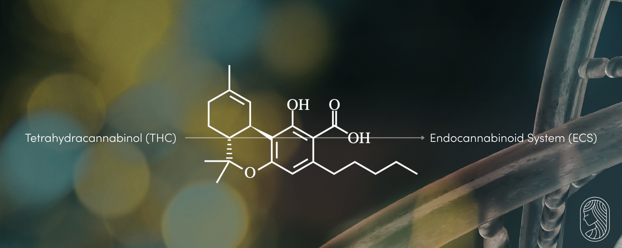 Low-Dose THC: A Science-Backed Guide to Microdosing for Women's Wellness