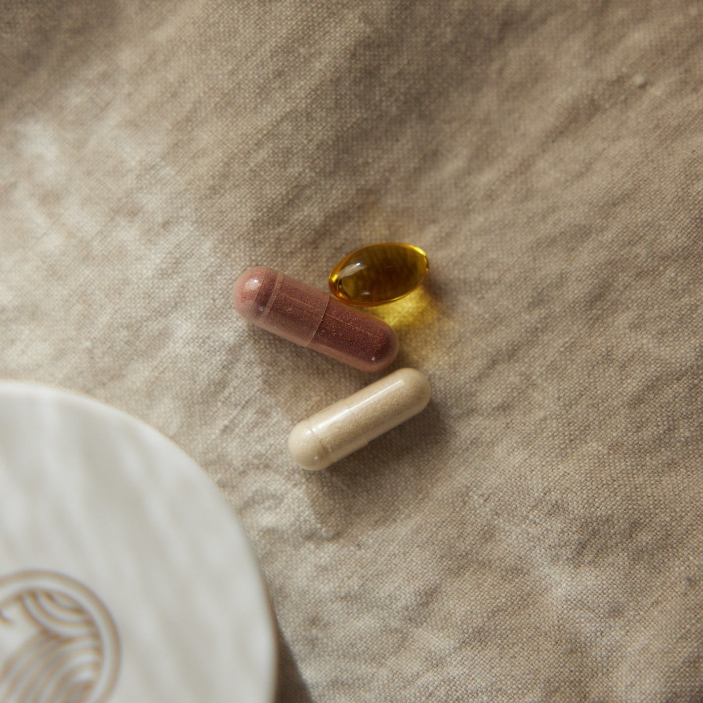 Cortisol 101: How Chronic Stress Reshapes Your Body (and What to Do About It)