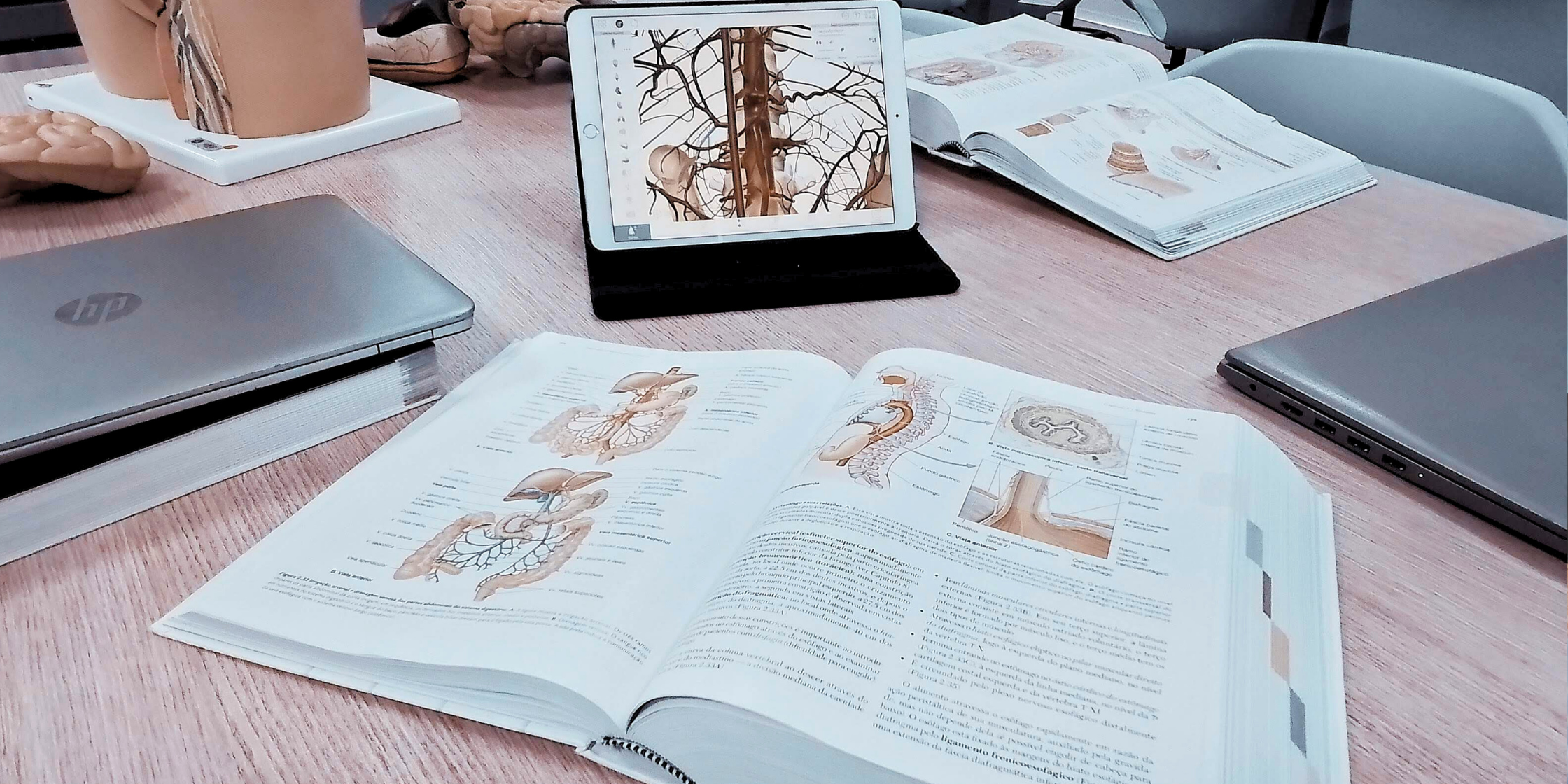 Getting to Know Your Vagus Nerve