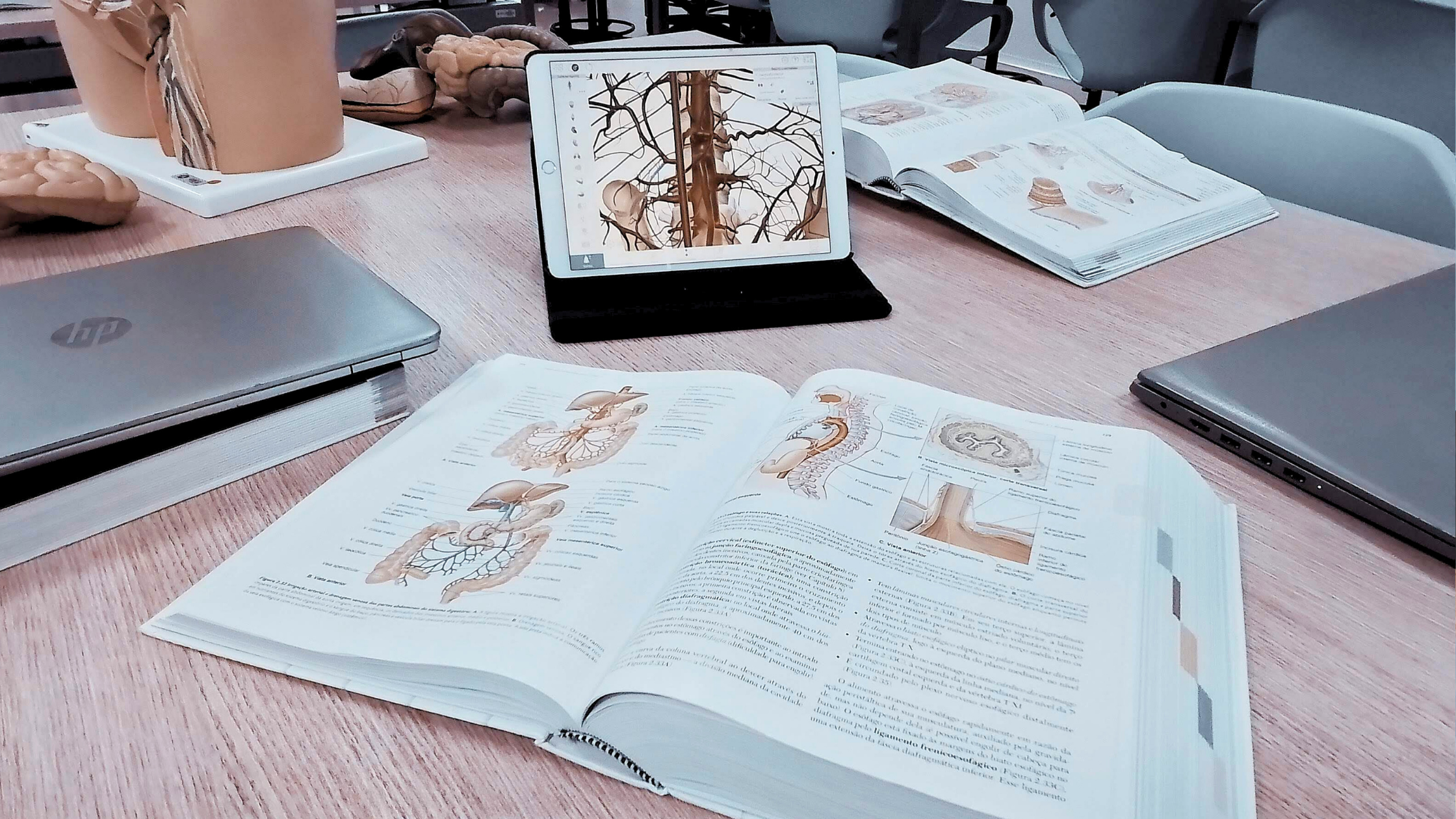 Getting to Know Your Vagus Nerve