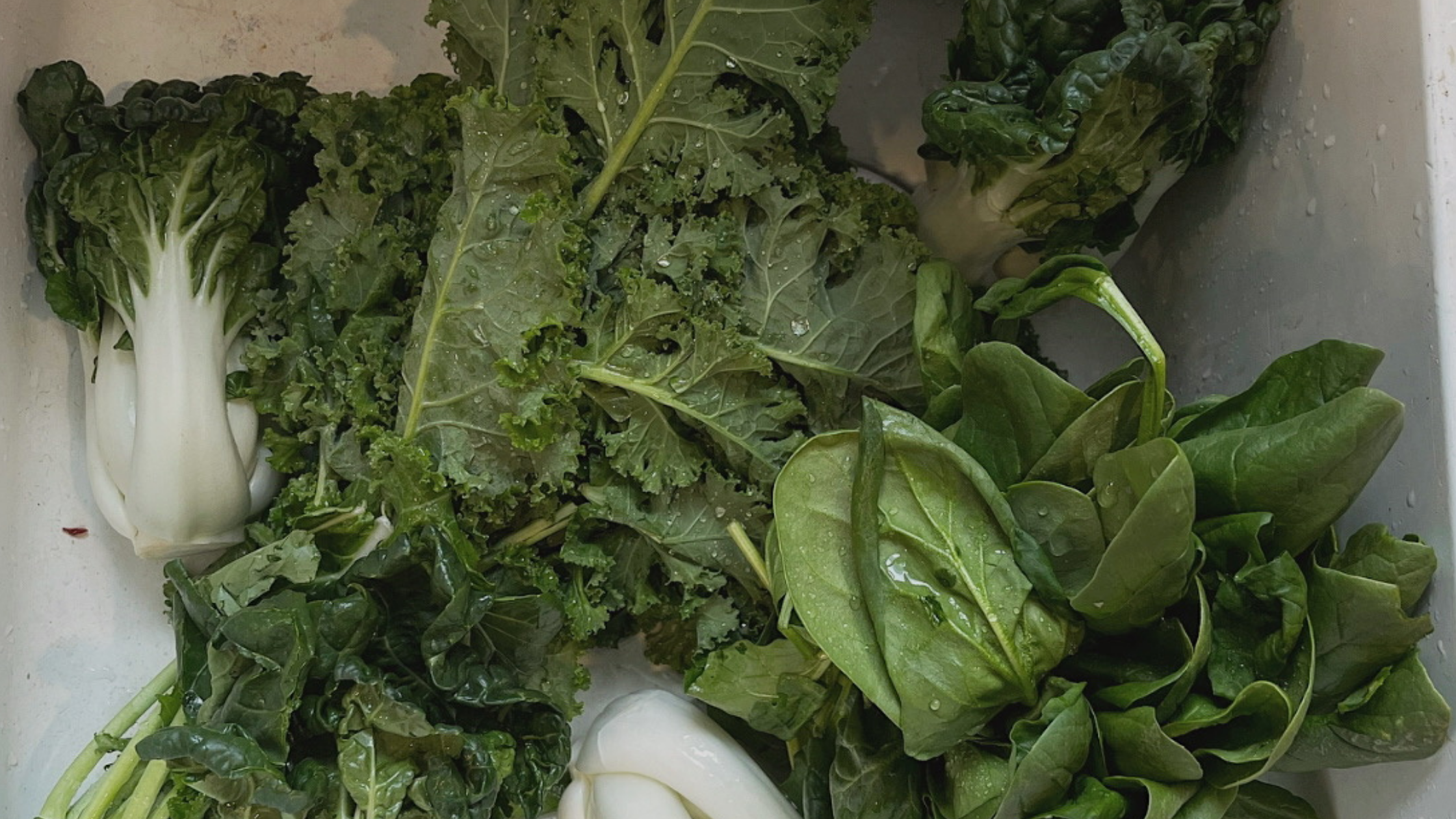 The Gut-Hormone Connection: What Your Symptoms Are Really Telling You