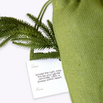 Green fabric pouch with a card and fern leaves on a white background