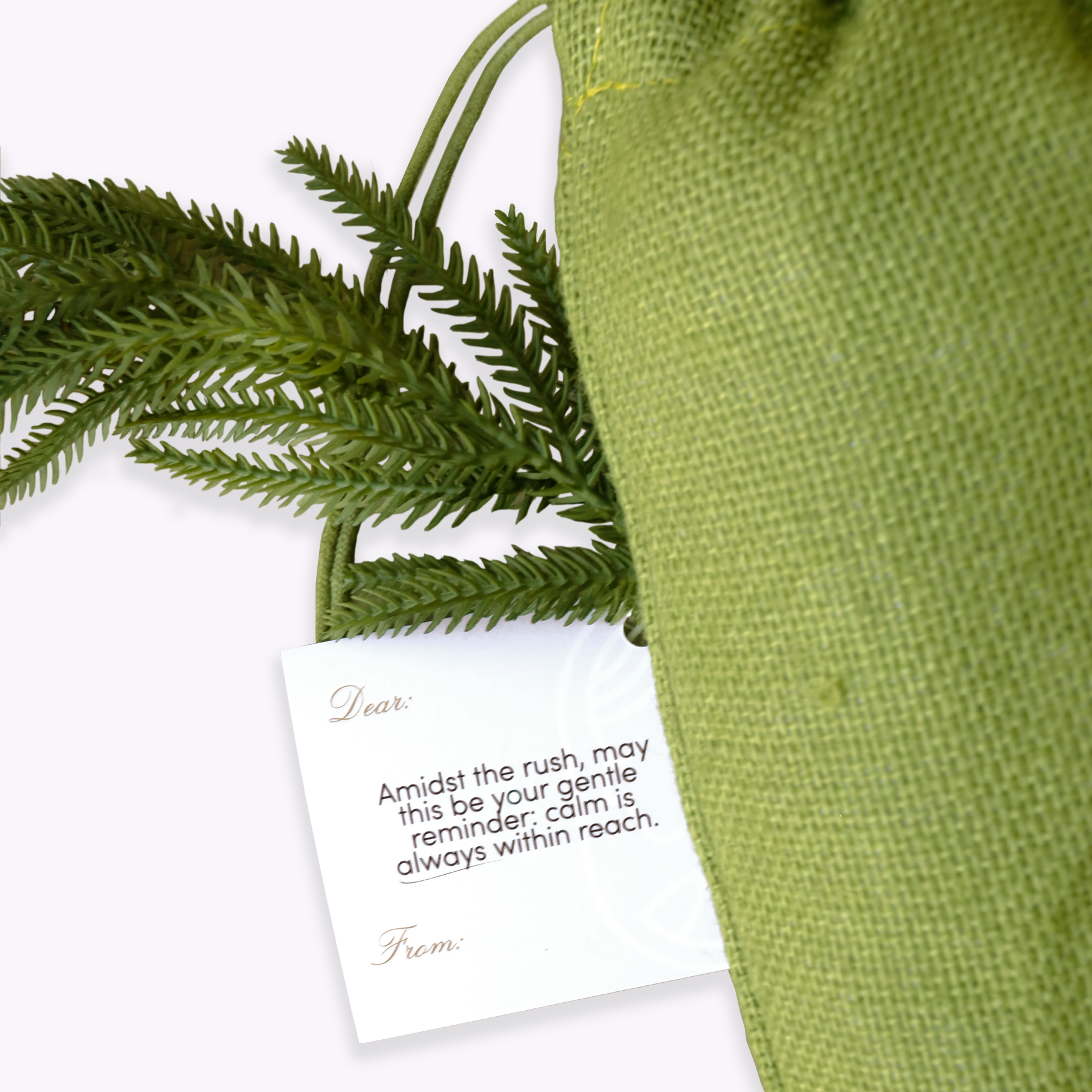 Green fabric with a card and fern leaves on a white background